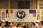 Члены европейской федерации Вадо-кай